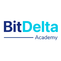 BitDelta Academy